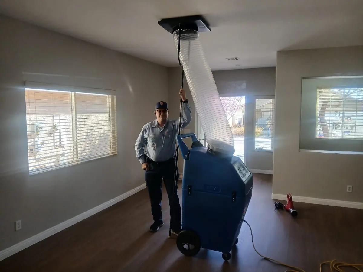 Professional Dryer Vent Cleaning work inside a Raleigh home
